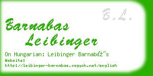 barnabas leibinger business card